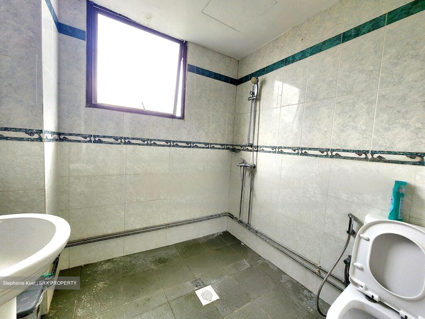 Tropicana Condominium (D16), Condominium #449597661